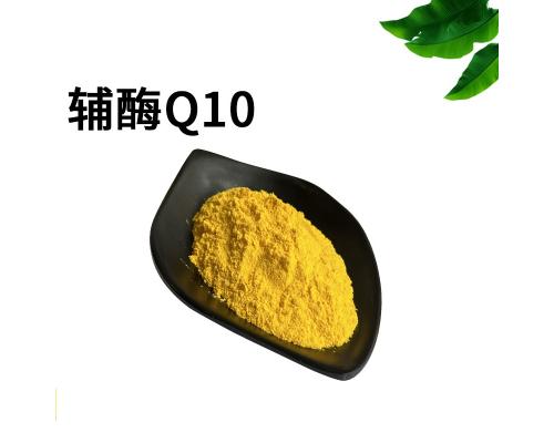 辅酶Q10