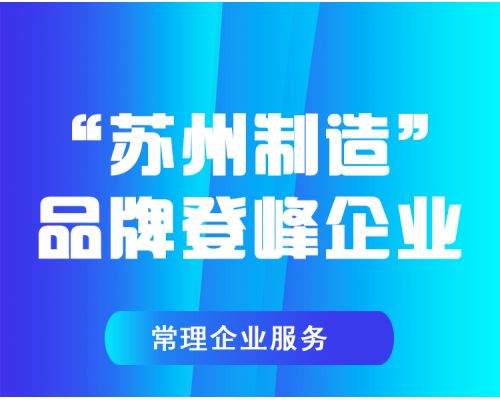制造登峰企业服务