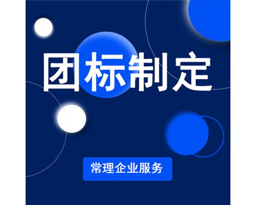 团标制定服务