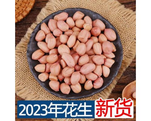 2023花生米生大颗粒白沙农家新鲜大粒商用生花生仁5斤