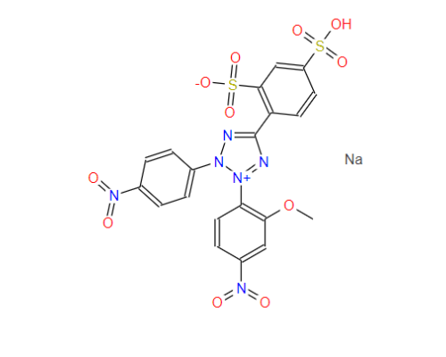 水溶性四氮唑-8WST-8【CAS:193149-74-5】