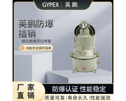 防爆无火花插销直插斜插式220V/380V铝合金外壳防水防腐插销