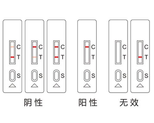 豇豆中农药残留胶体金检测卡