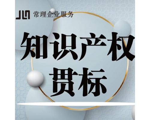 贯标咨询服务