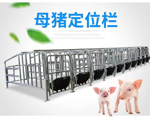 养猪场母猪限位栏和限位栏的好处