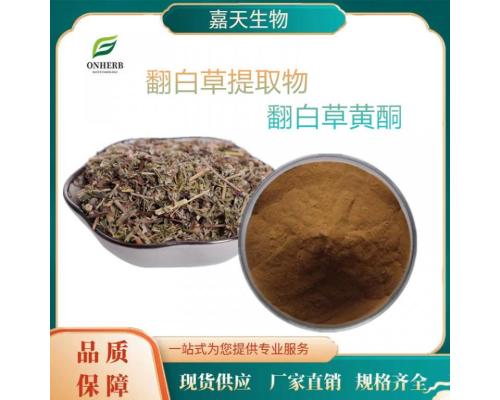 翻白草提取物 10：1 多种规格