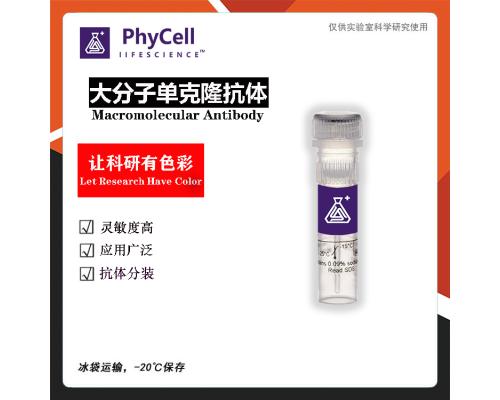 胱抑素C(Cystatin C，Cys C)