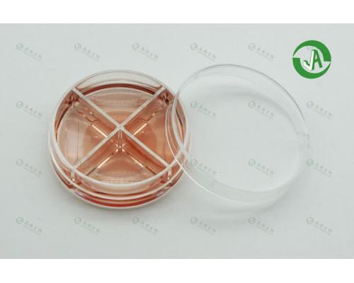 四分格35mm激光共聚焦显微镜用玻璃底小皿