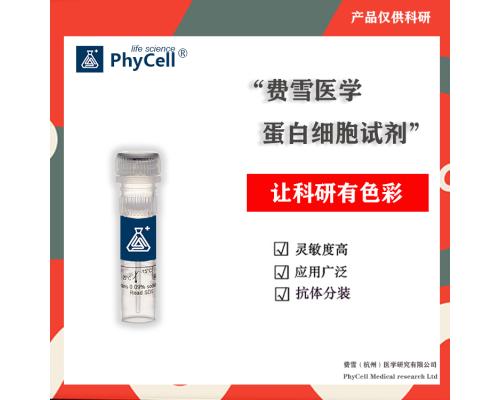 氯丙那林单克隆抗体/BSA(OVA）偶联抗原