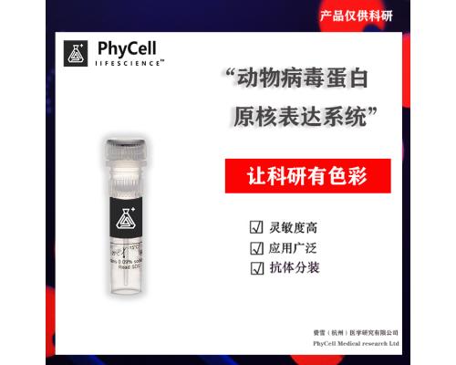 抗犬细小(CPV)单克隆抗体及质控品