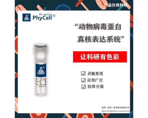 抗犬轮状病毒（CRV）单克隆抗体及质控品