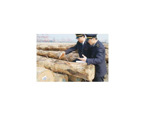 美国鹅掌楸进口清关