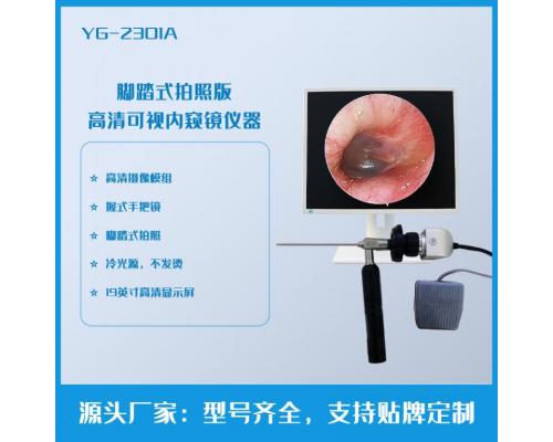 便携式鼻腔可视检查仪 YG-2301A