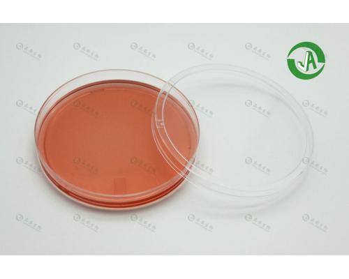 Matrigel基质胶预包被细胞培养皿