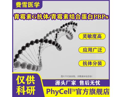 青霉素G单克隆抗体3G4细胞株3D12细胞株