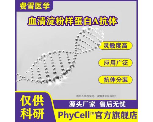 血清淀粉样蛋白A（SAA）单克隆抗体