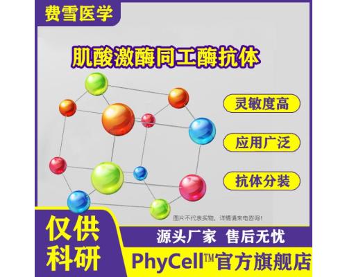 肌酸激酶同工酶CK-MB单克隆抗体 CK-MB-McAb