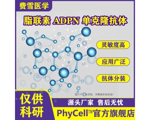 脂联素 ADPN 单克隆抗体