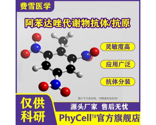 A/B族链球菌单克隆抗体