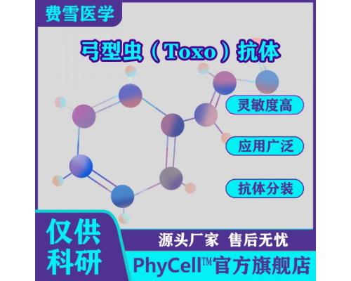 弓型虫（Toxo）单克隆抗体