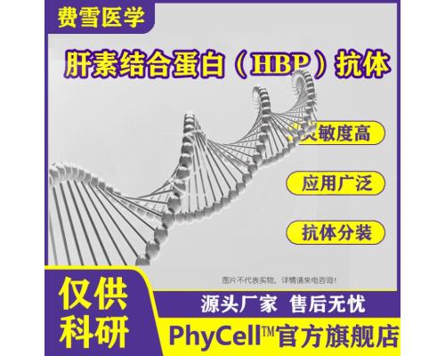 肝素结合蛋白（HBP）单克隆抗体