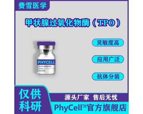 甲状腺过氧化物酶（TPO）抗原 TPO-Ag