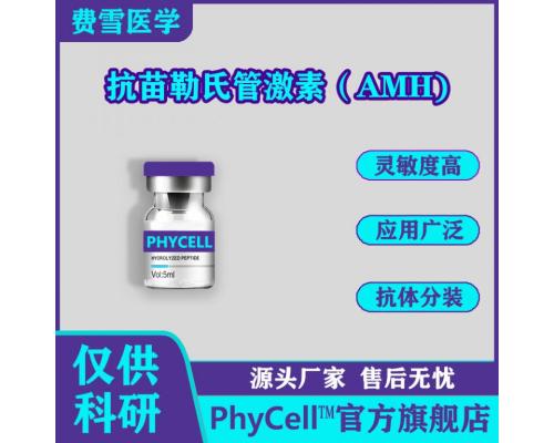 抗苗勒氏管激素（AMH）抗原  AMH-Ag