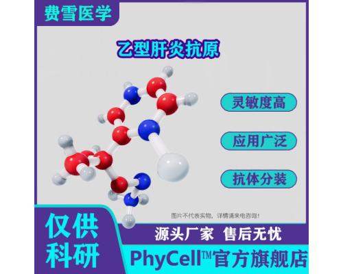 乙型肝炎核心抗原HBcAg