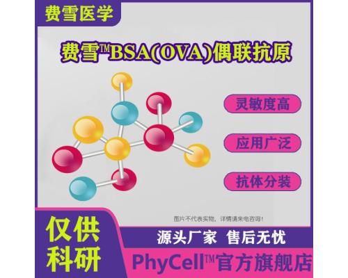 阿苯达唑代谢物BSA(OVA）偶联抗原