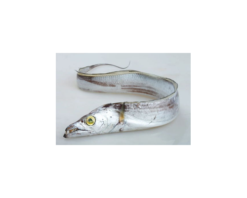 白帶魚進(jìn)口清關(guān)代理清關(guān)公司