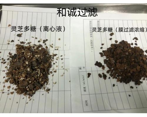 灵芝香菇食用菌多糖提取设备