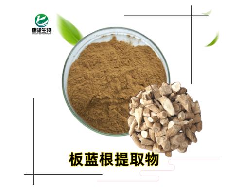板藍根提取物