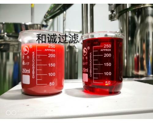 草莓果汁过滤澄清超滤设备