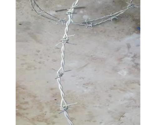 铁蒺藜刺绳围栏网隔离防盗铁丝绳网