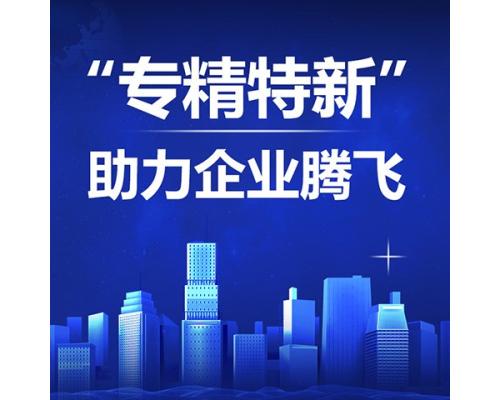 专精特新企业申报