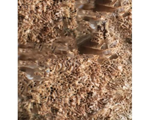 椰糠的进口清关流程