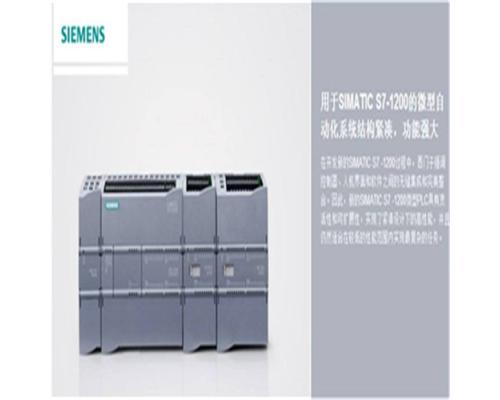 PLC模块6AV19020DD10
