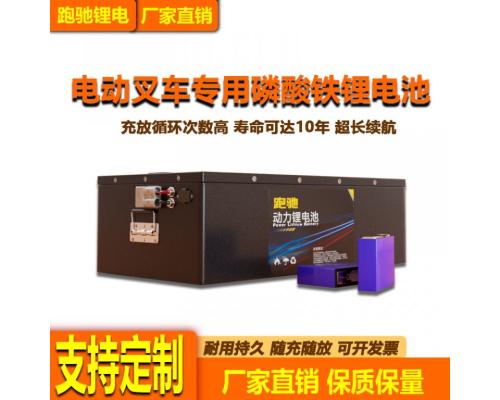 電動(dòng)叉車24V48V300Ah磷酸鐵鋰電池質(zhì)保五年