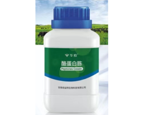 乳酪蛋白胨（Peptones Casein）