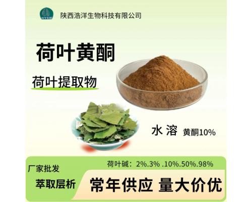 荷叶提取物 荷叶黄酮10% 现货批发