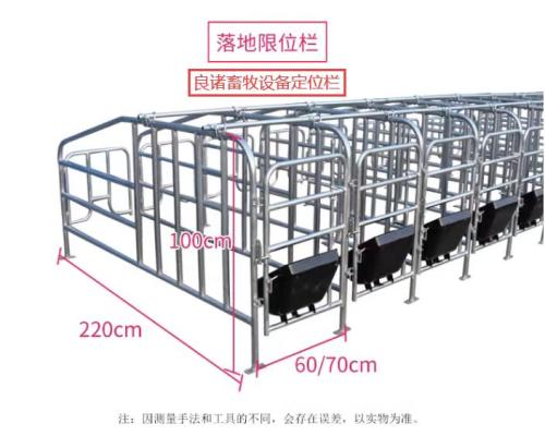 普通母猪限位栏