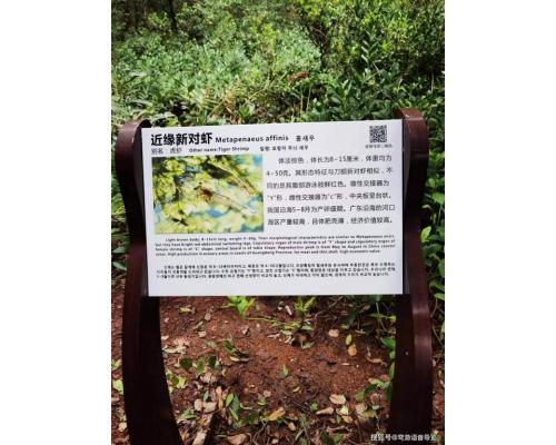 个性化无需人工多形式展示分析数据扫码讲解