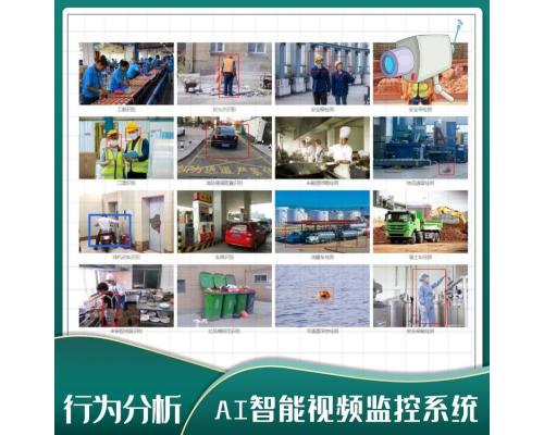园区智能视频监控分析系统