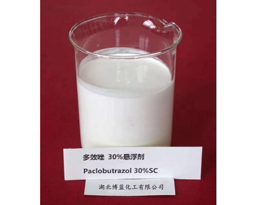 30%多效唑悬浮剂报价