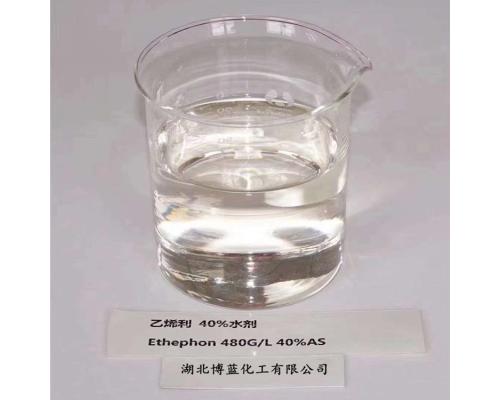 40%乙烯利水剂植物生长调节剂