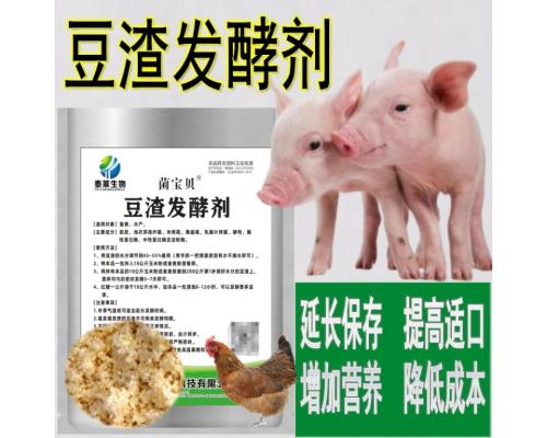 豆渣发酵剂酒糟潲水泔水醋糟发酵剂