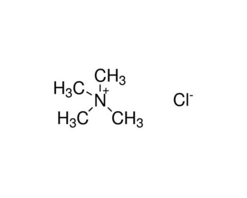 四甲基氯化铵 AR/25g 75-57-0