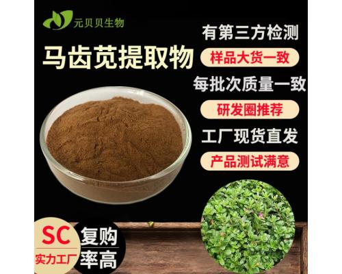 量大价优马齿苋提取物30:1马齿苋浓缩粉现货原料水溶马齿苋粉批发