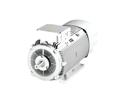 VEM電機(jī)