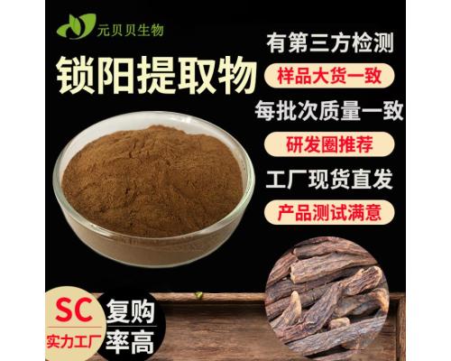 SC实力工厂行业精下锁阳粉30:1现货原料散装批发锁阳提取物包邮